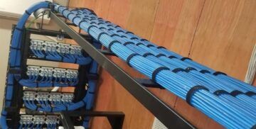 Dense bundle of blue network cables routed through a tray
