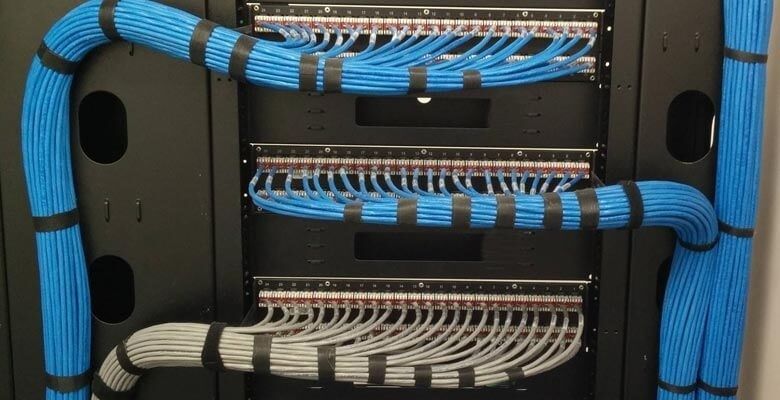 Dense blue and white Ethernet cable bundles routed through patch panels